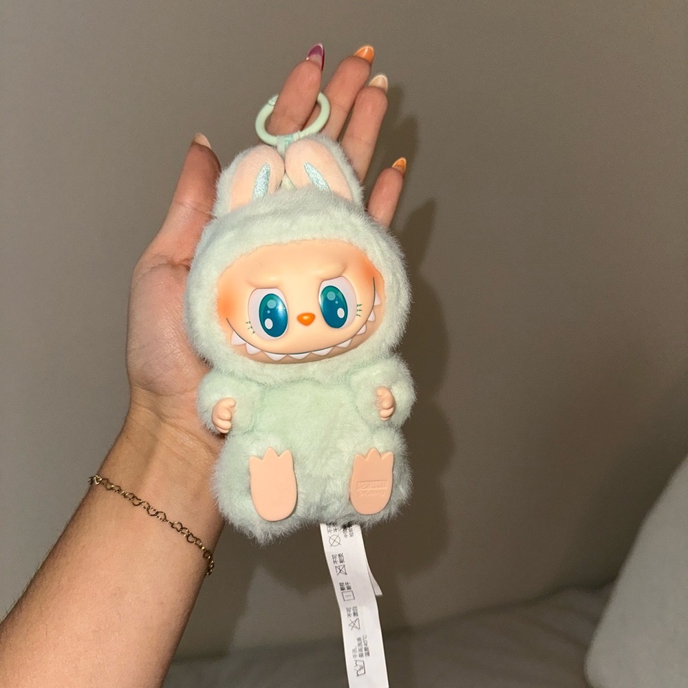 Slightly Used Labubu
